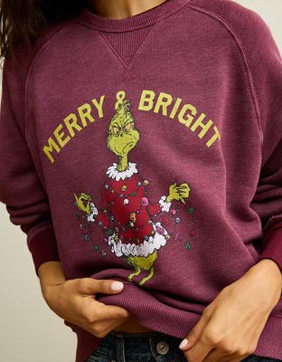 AE Holiday Graphic Crew Neck Sweater