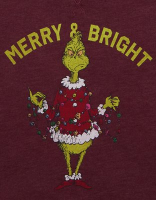AE Holiday Graphic Crew Neck Sweater
