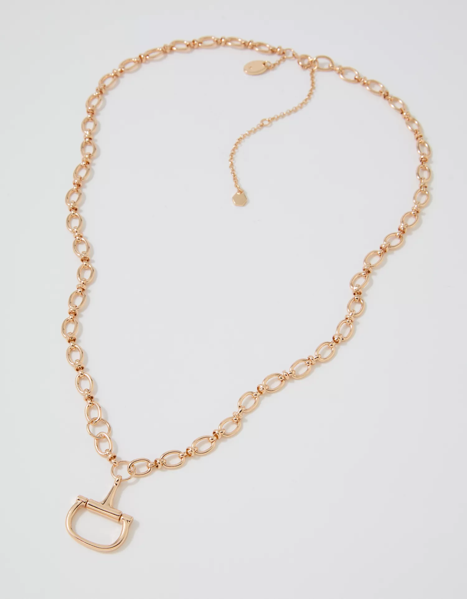 Aerie Long Horsebit Necklace