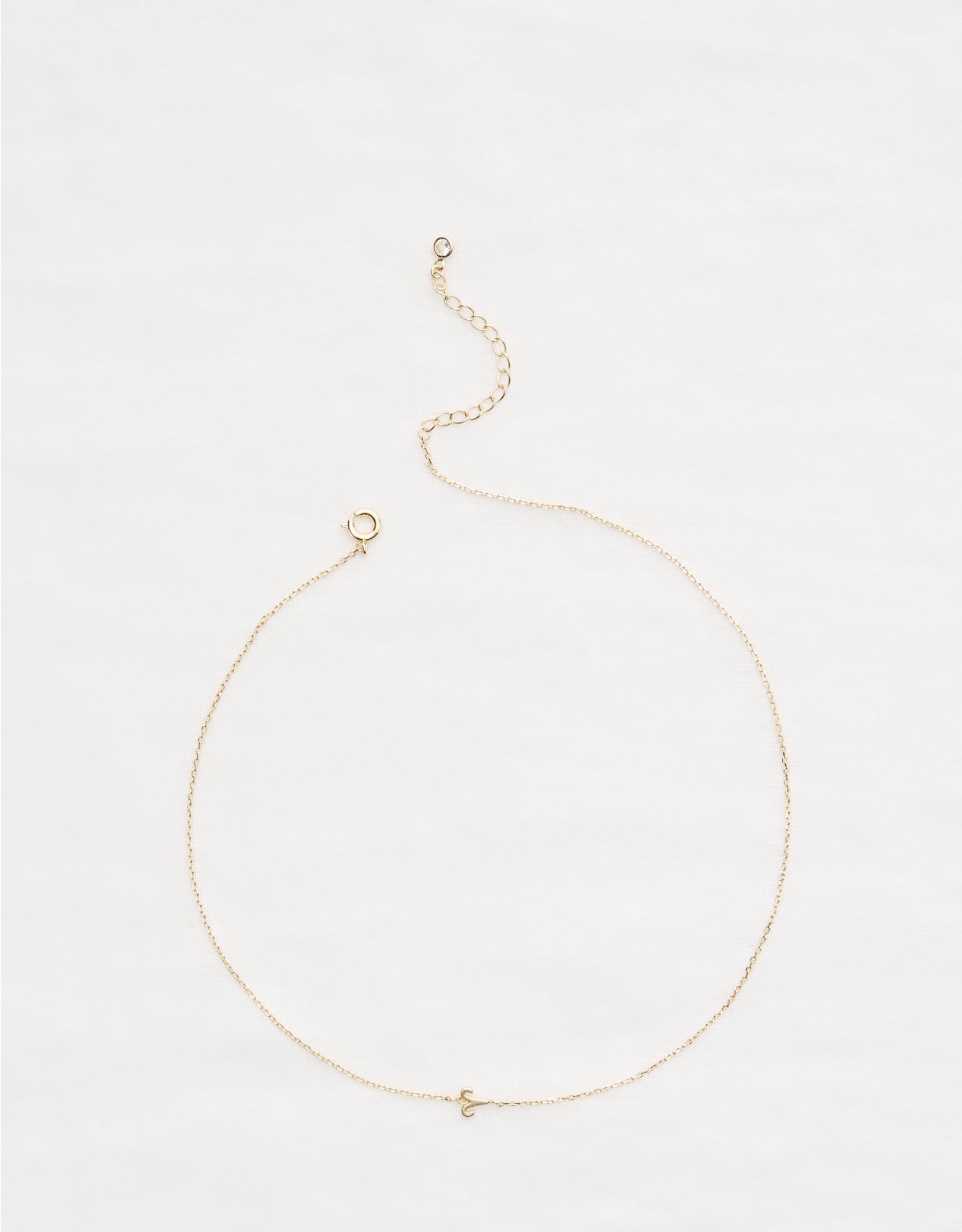 Aerie Aries Necklace