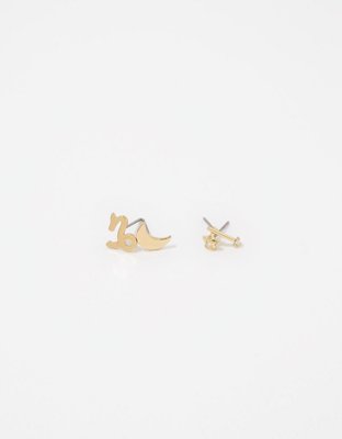 Aerie Zodiac Earring Pack