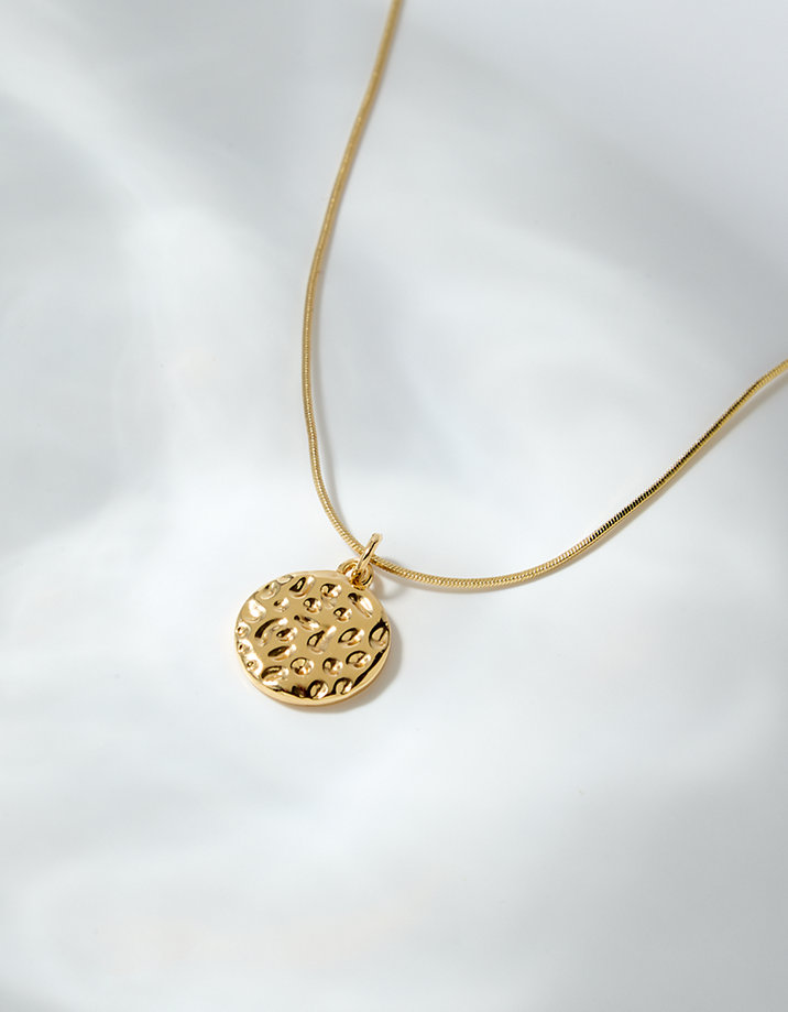 Aerie Dainty Coin Necklace