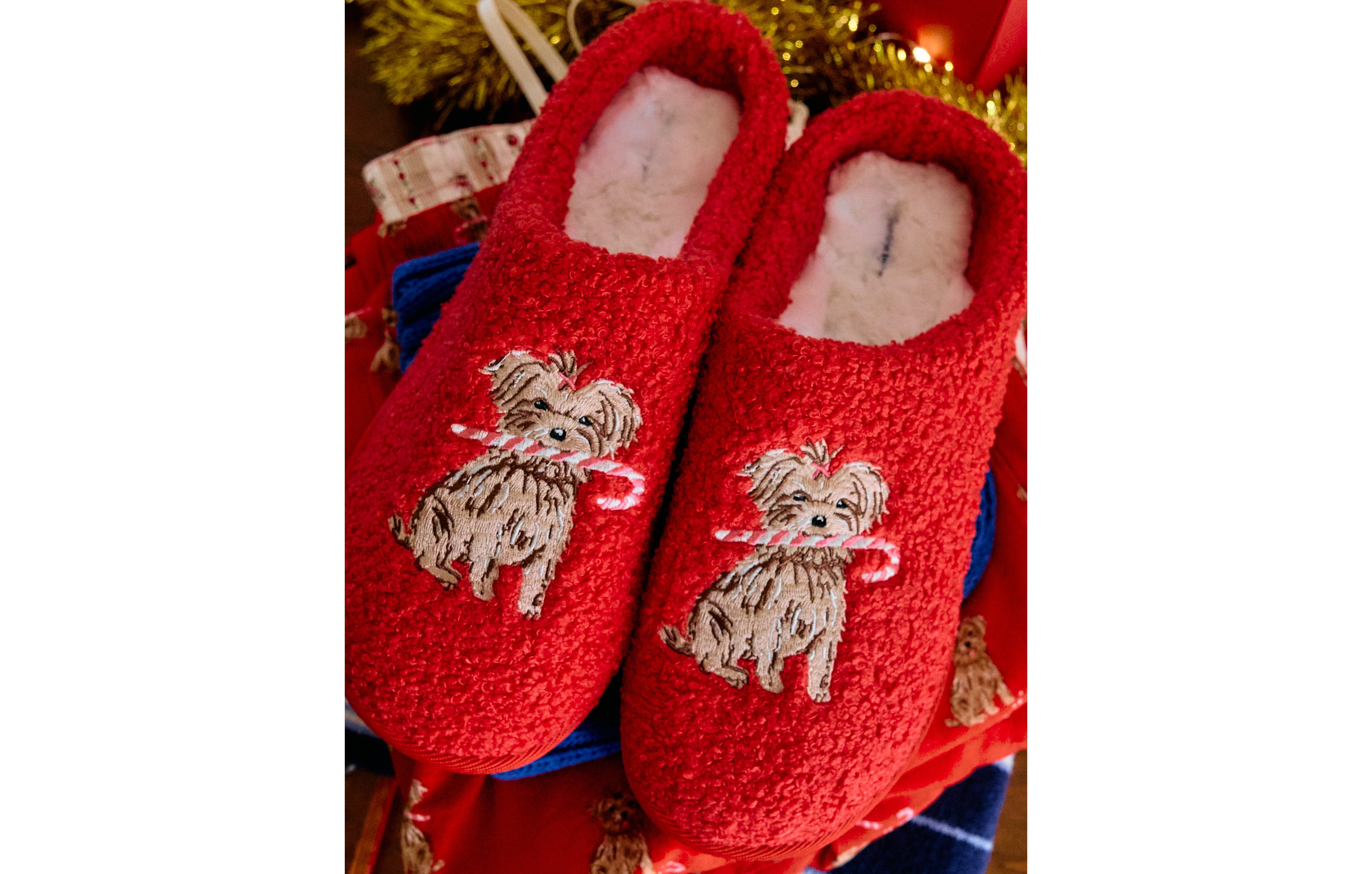 Aerie Slippers
