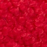 Holiday Red