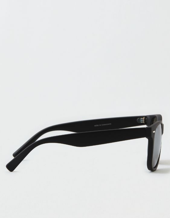 AEO Classic Sunglasses