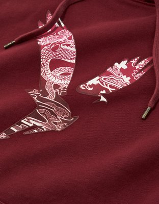 AE X NAITO Fleece Graphic Hoodie