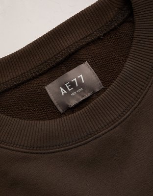 AE77 Raglan Terry Fleece Sweatshirt