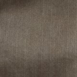 Shell Gray
