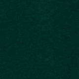 Camper Green