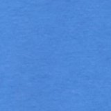 Blooming Bright Blue