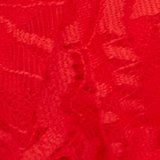 Holiday Red