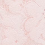 Pink Petal