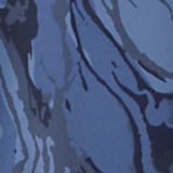 Marbled Blue