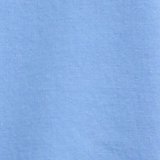 Azul león