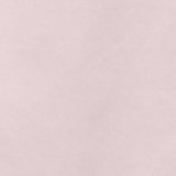 Pink Petal