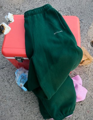 OFFLINE By Aerie Cloud Fleece Baggy Jogger