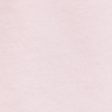 Pink Petal