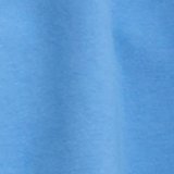 Rome Blue