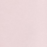 Pink Petal