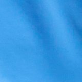 Rome Blue