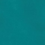 Fresh Teal