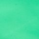 Neon Green