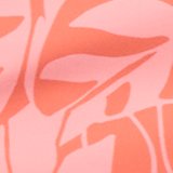 Main Mango