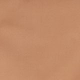 Raw Sienna