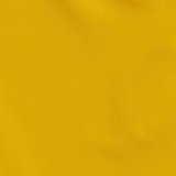 Bright Mustard