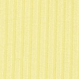Cozy Yellow