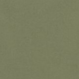 Olive Fun