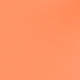 Neon Orange