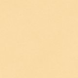 Yellow Notes