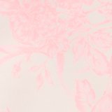 Shell Pink