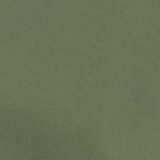Olive Fun