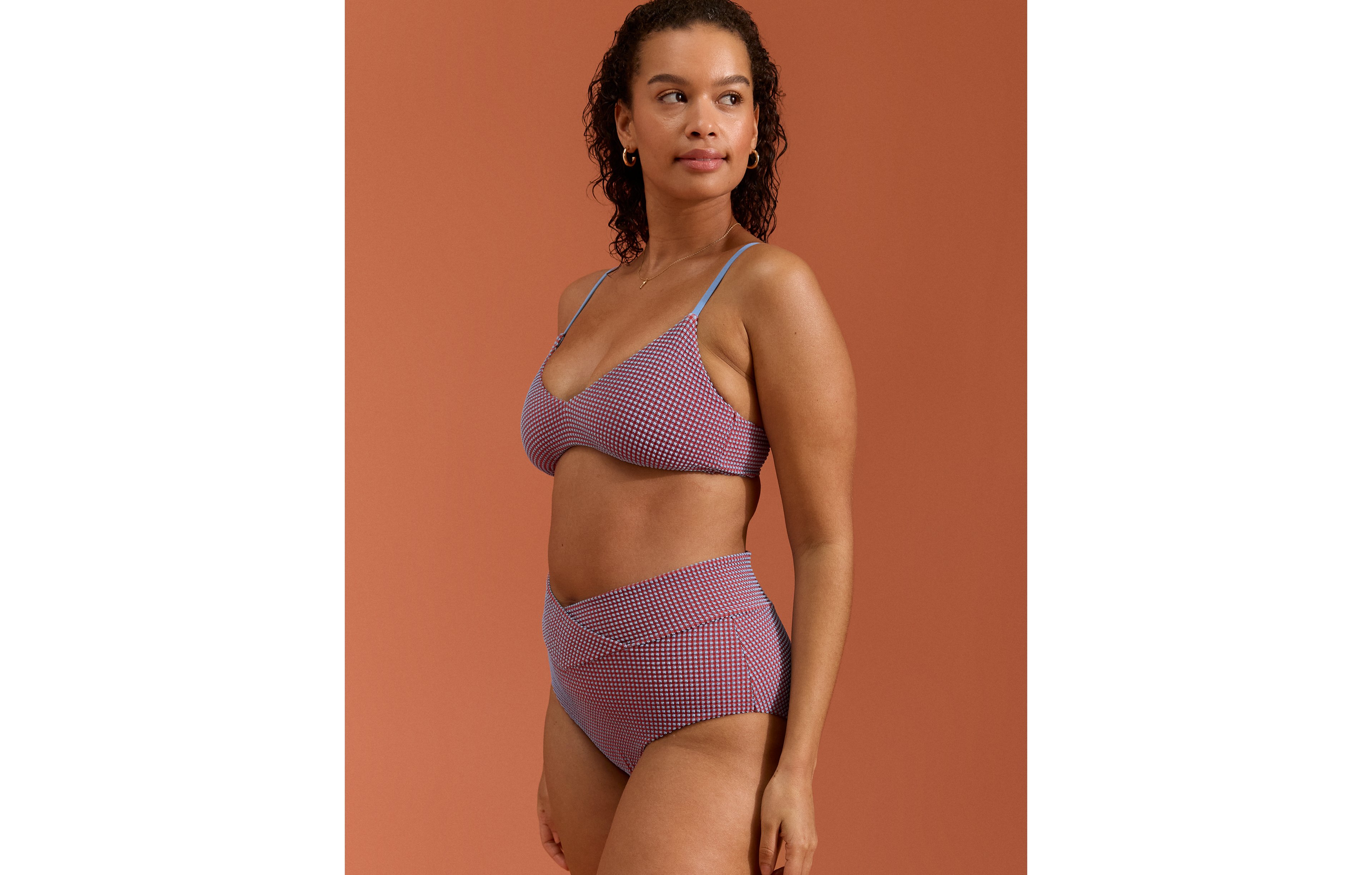 Aerie Gingham High Waisted Full Coverage Bikini Bottom