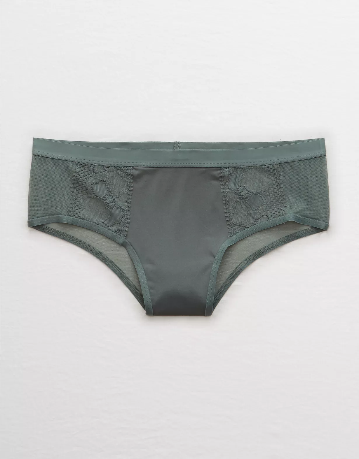 Aerie Paradise Lace Shine Cheeky Underwear