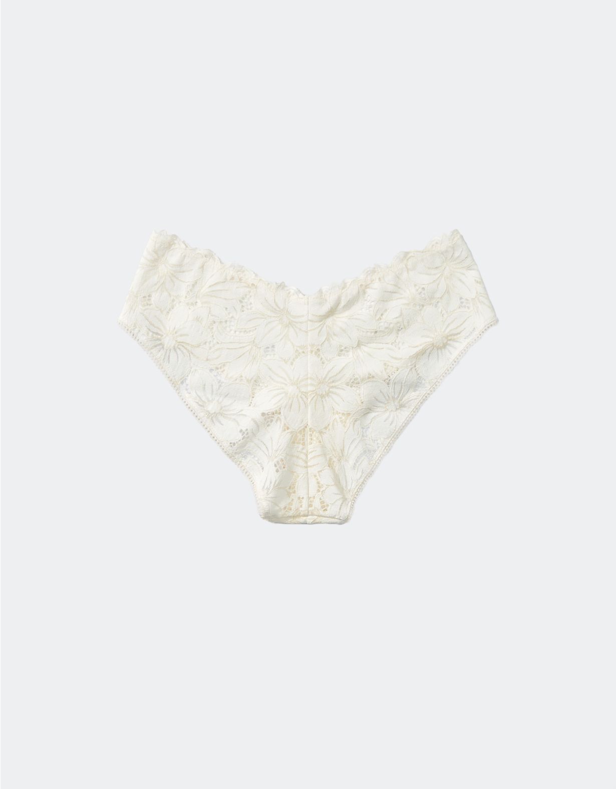 Aerie Crochet Lace Cheeky Underwear