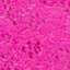 Rosado fucsia