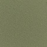 Olive Fun