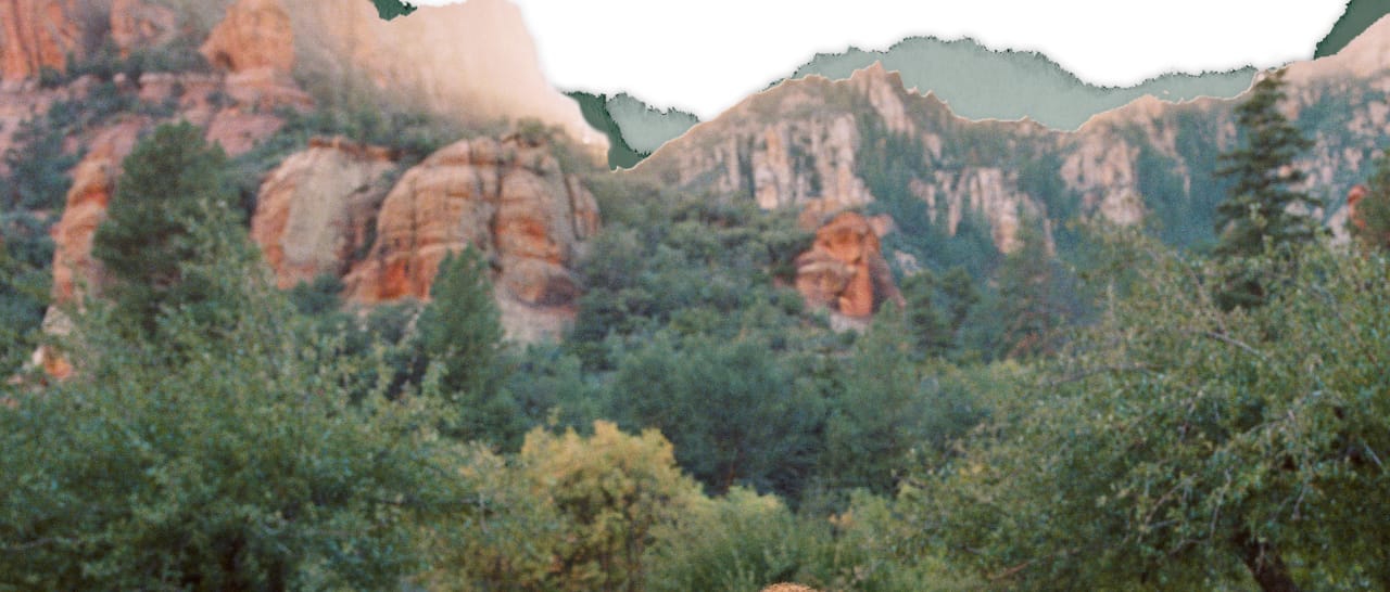 Turn your images on. Shop AEO