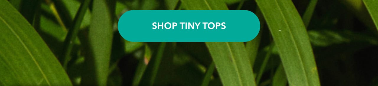 Turn your images on. Shop AEO
