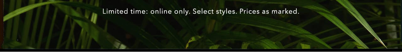 Turn your images on. Shop AEO