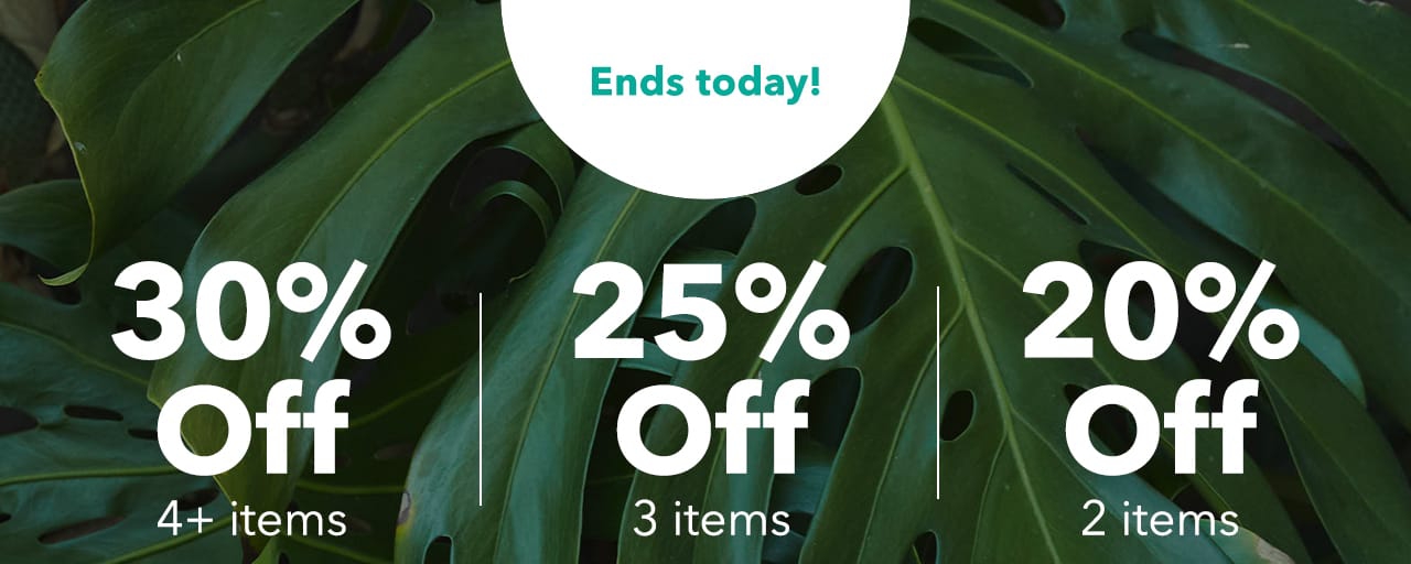 Turn your images on. Shop AEO