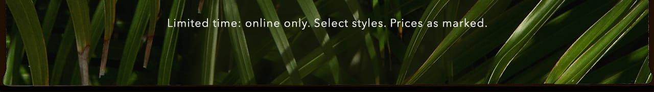Turn your images on. Shop AEO