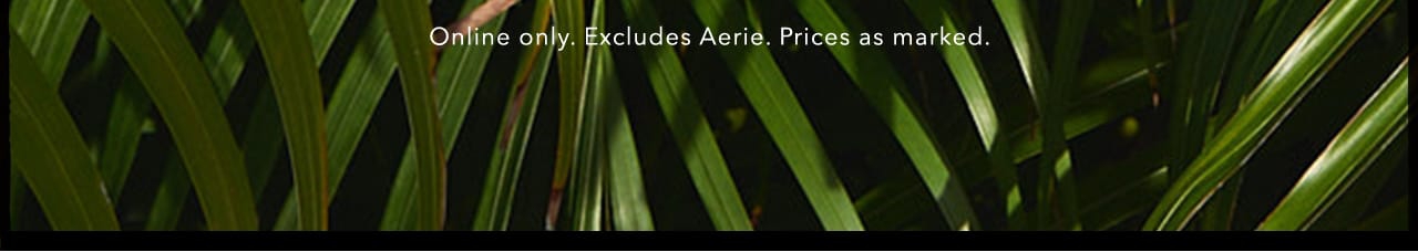 Turn your images on. Shop AEO