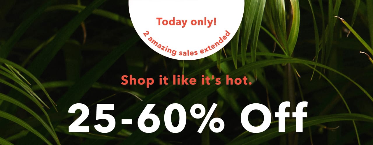Turn your images on. Shop AEO