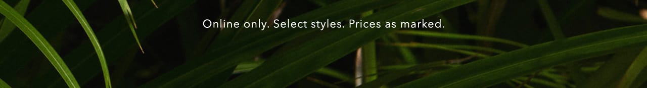 Turn your images on. Shop AEO