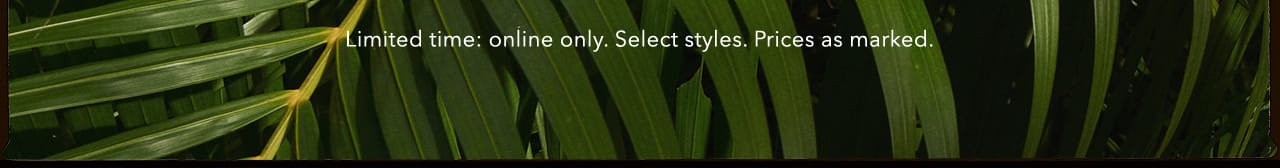 Turn your images on. Shop AEO