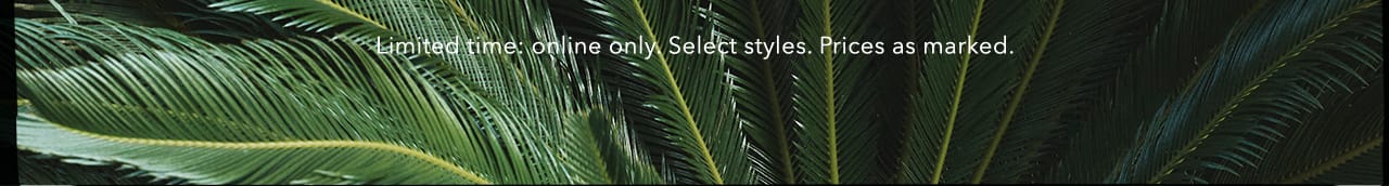 Turn your images on. Shop AEO